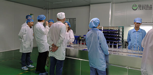 塑胶麻豆视频APP色版下载网址家